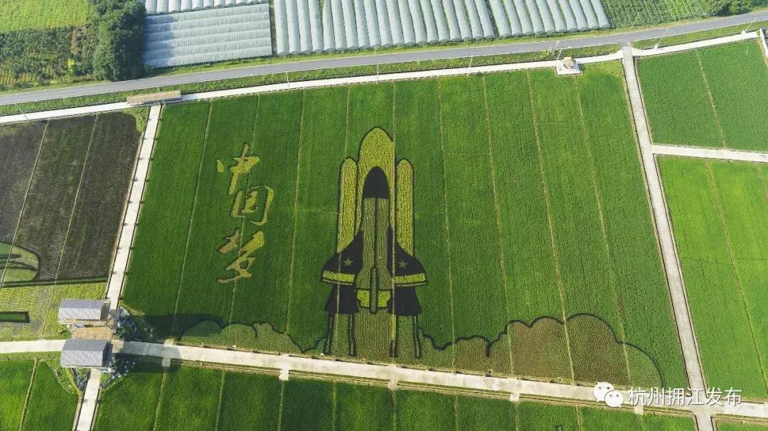 震撼!钱塘江畔出现巨型画作,有28个足球场这么大!