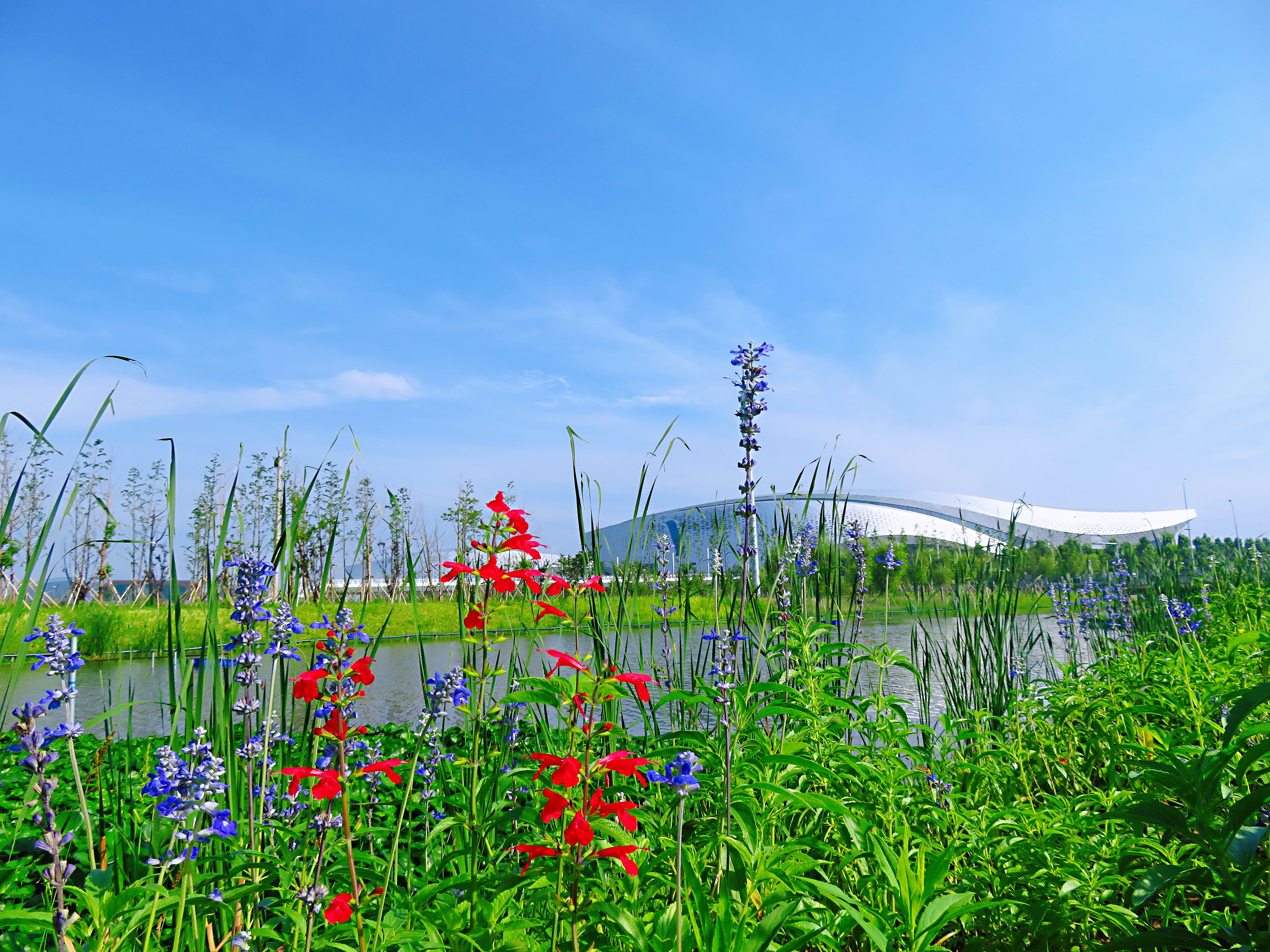 宁波附近野外游泳的地方有哪些,宁波哪里玩适合带小孩水上乐园