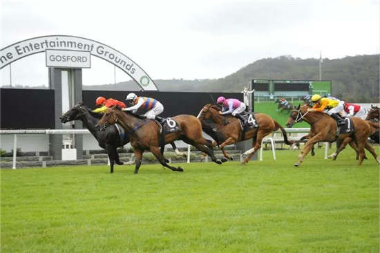 赛马让赛是什么意思,赛马为什么一定要人骑