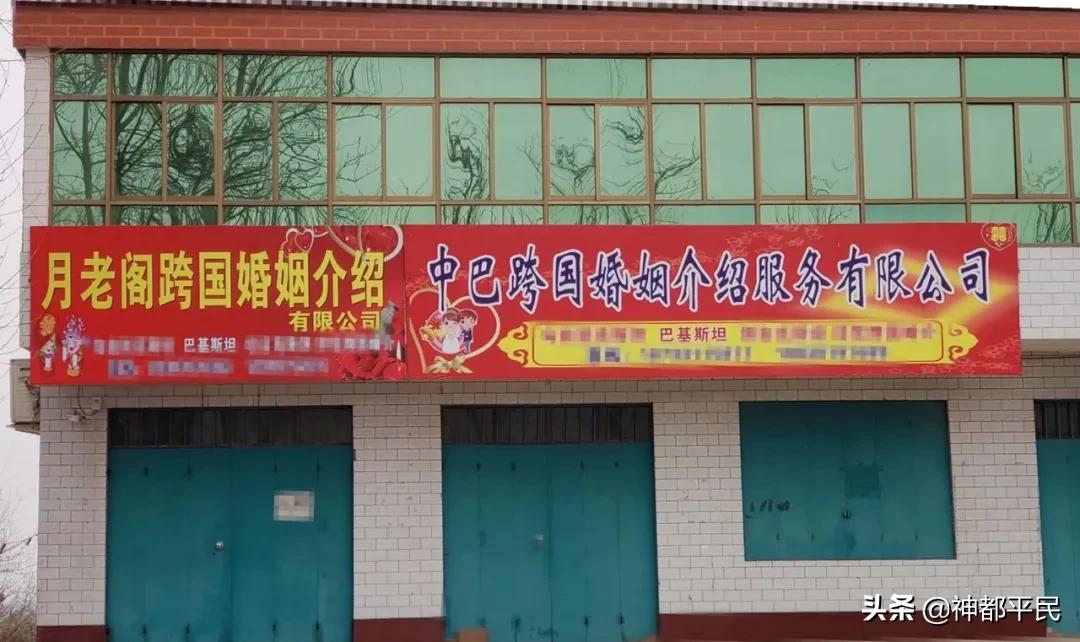 巴基斯坦相亲攻略,巴基斯坦相亲记视频