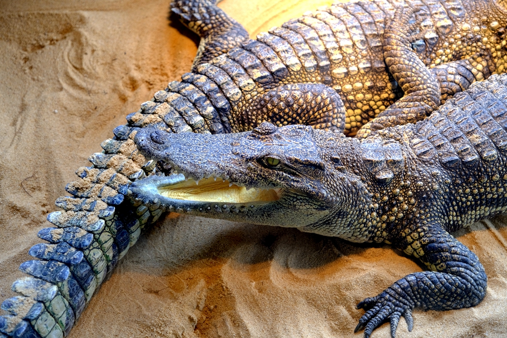 福建六鳌翡翠湾醉美沙滩,六鳌翡翠湾海滩