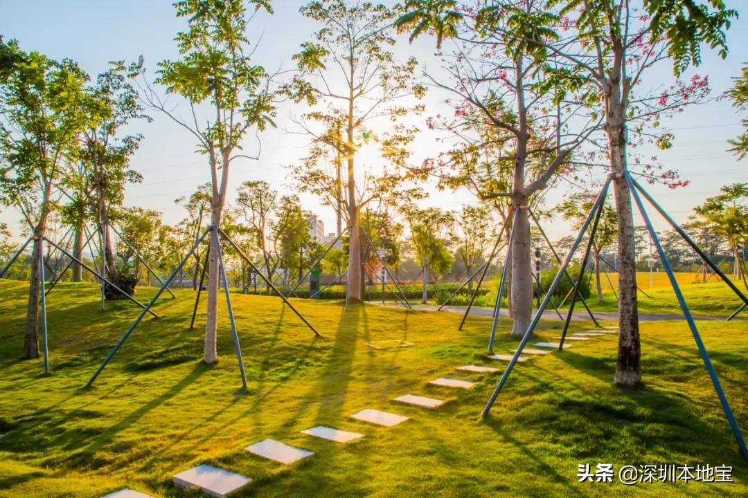 深圳完全免费的十大景点,深圳10大免费景点上集