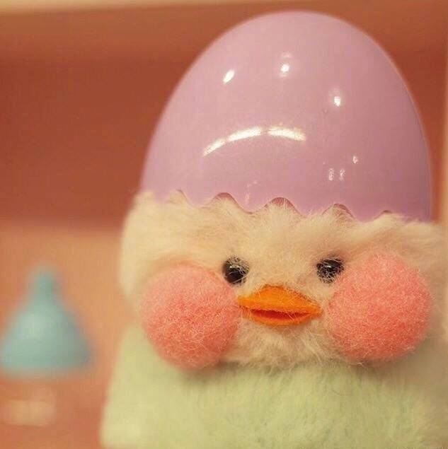 【玻尿酸鸭头像】可爱的鸭子头像