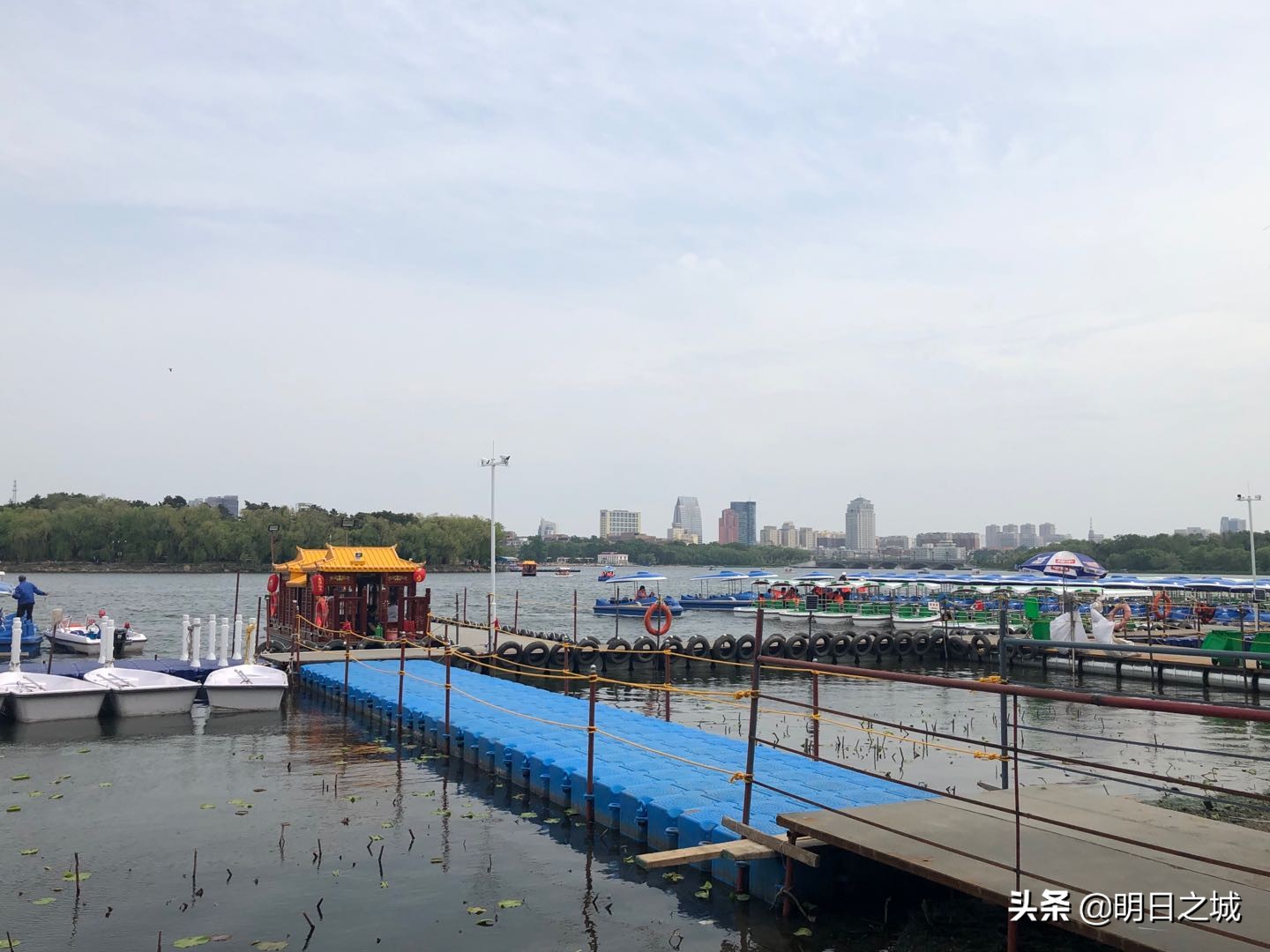 南湖游船游玩,南湖公园素颜图片