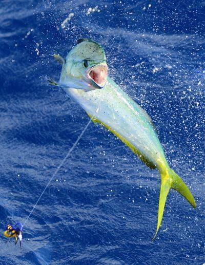 世界各地钓鱼爱好者,世界各地钓鱼的人