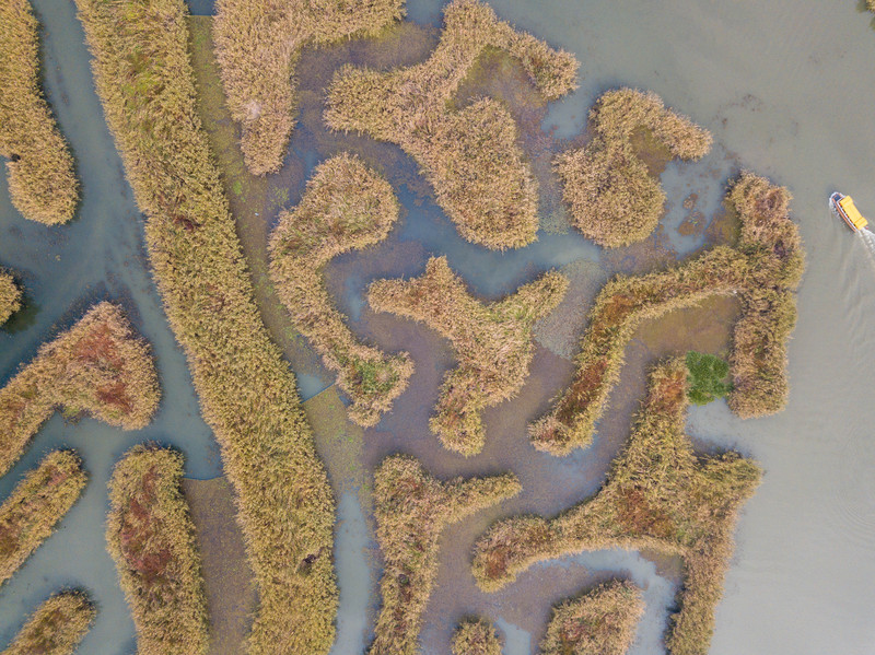 森林麋鹿公园,森林麋鹿