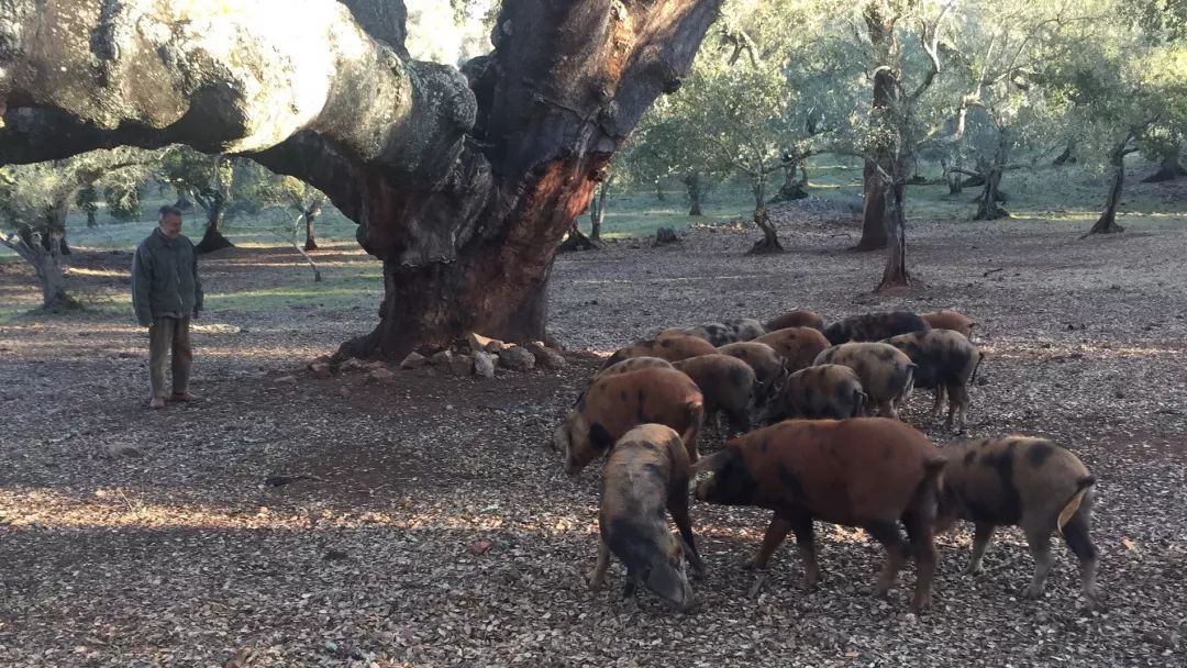 这次AsianFoodFestival汇聚亚洲食力，不止梁静茹给了杭州勇气