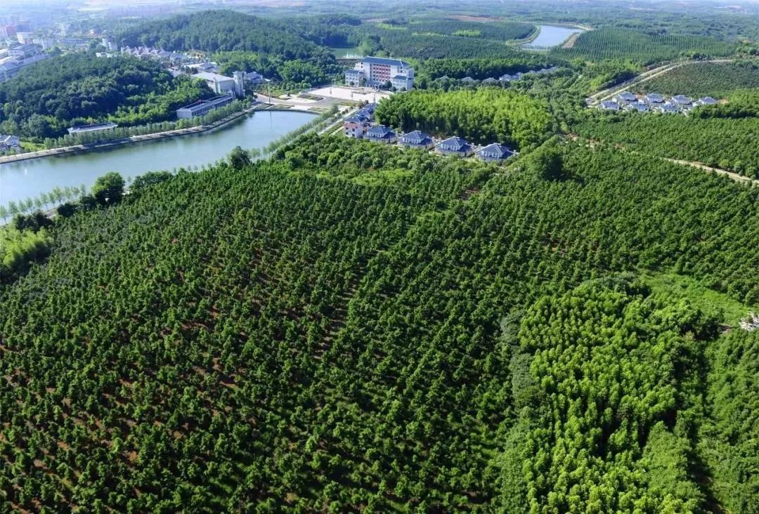 咸宁古镇古村有哪些,崇阳十处绝美古村落