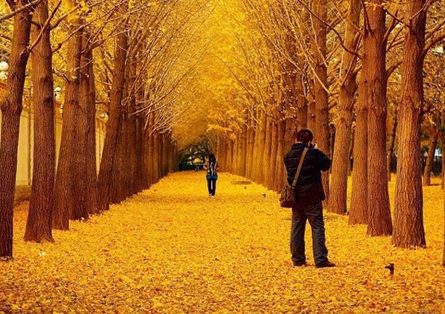 长兴全县文明单位,长兴全国文明城市复评