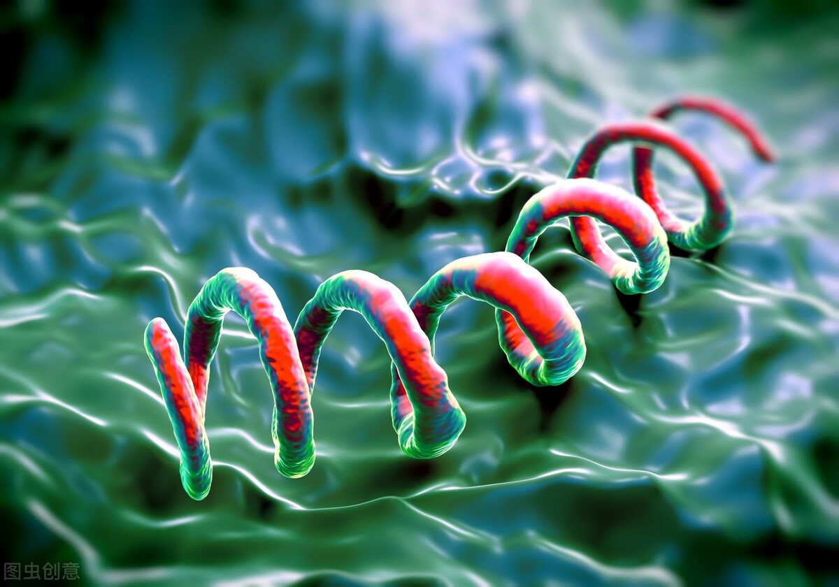 小伙被感染梅毒,晚期梅毒可能造成肺部损伤吗