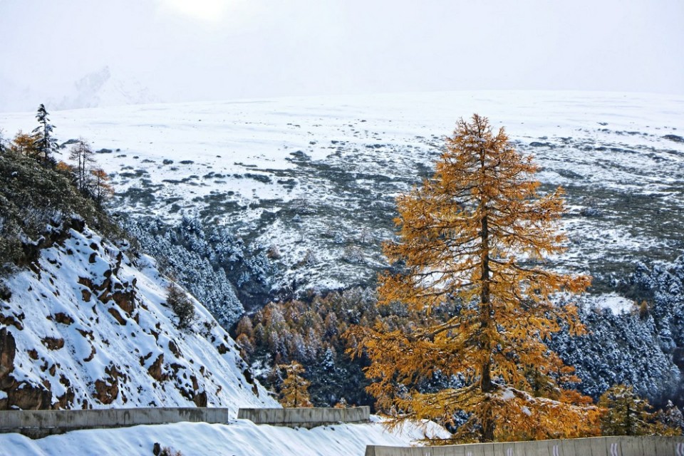 香格里拉适合工作吗,工作太累了想放松一下去哪里适合