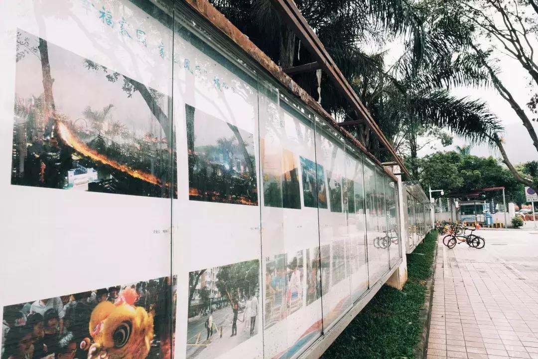 在福田区下梅林生活体验好吗,下梅林晚上适合去的地方