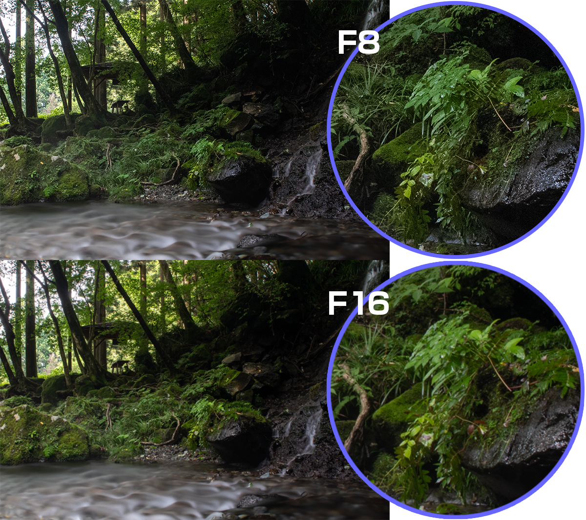 玩转慢门摄影入门技巧,慢门摄影拍摄方法视频