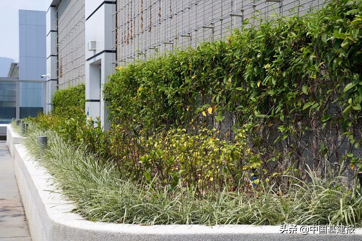 香港儿童医院连夺两项建筑大奖,整个建筑团队以心和关怀来建造