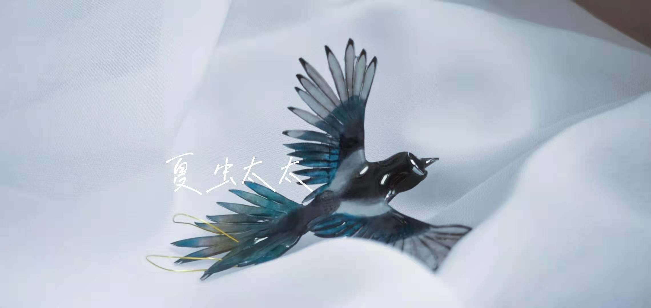 为什么喜鹊是个吉祥鸟,喜鹊真的喜鹊吗