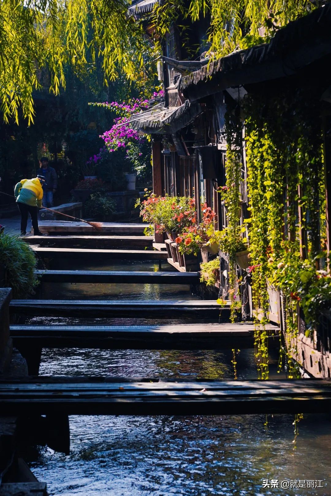 丽江是个怎样的地方,丽江是一个浪漫的城市