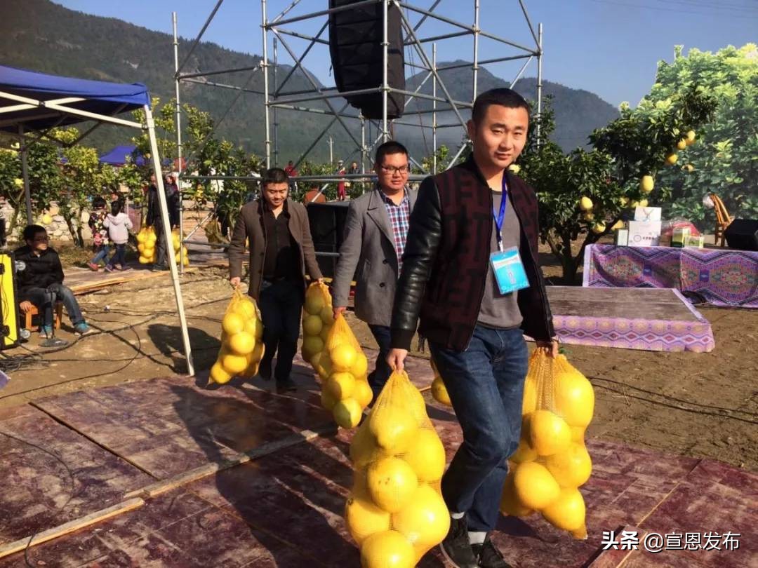 宣恩贡水柚直播间,宣恩贡水白柚苗