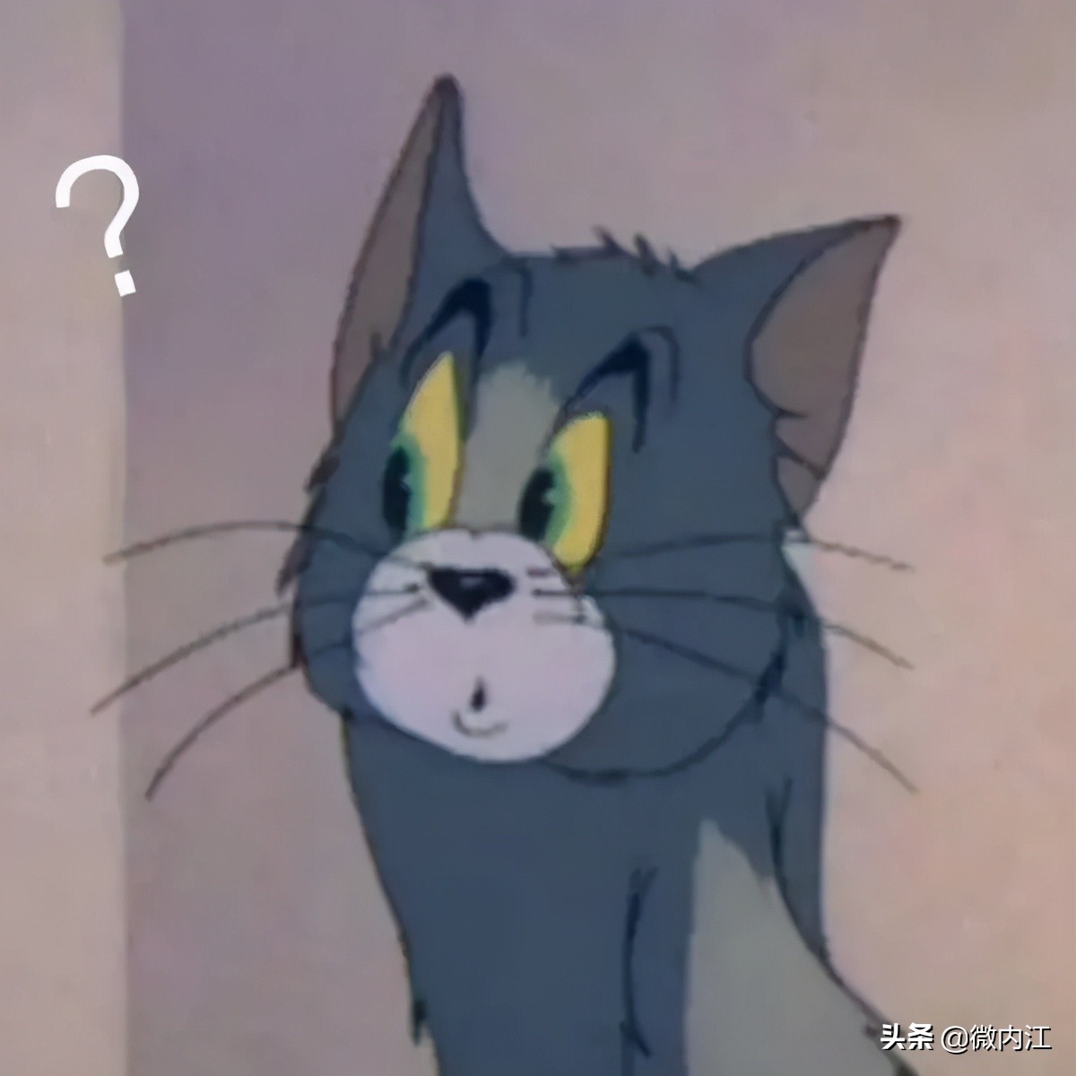 花果同树柑橘有哪些品种,重庆晚熟血橙