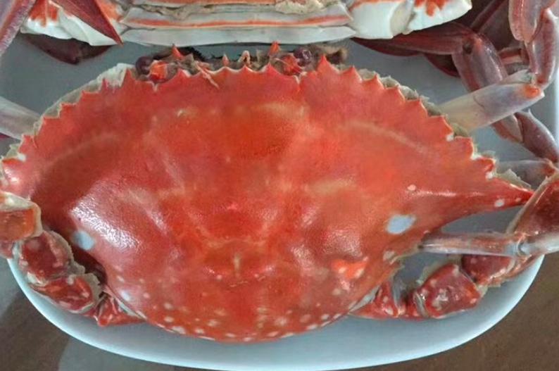 梭子蟹死了放在冰箱保鲜还可以吃,烧熟的梭子蟹放冰箱冷藏能放几天