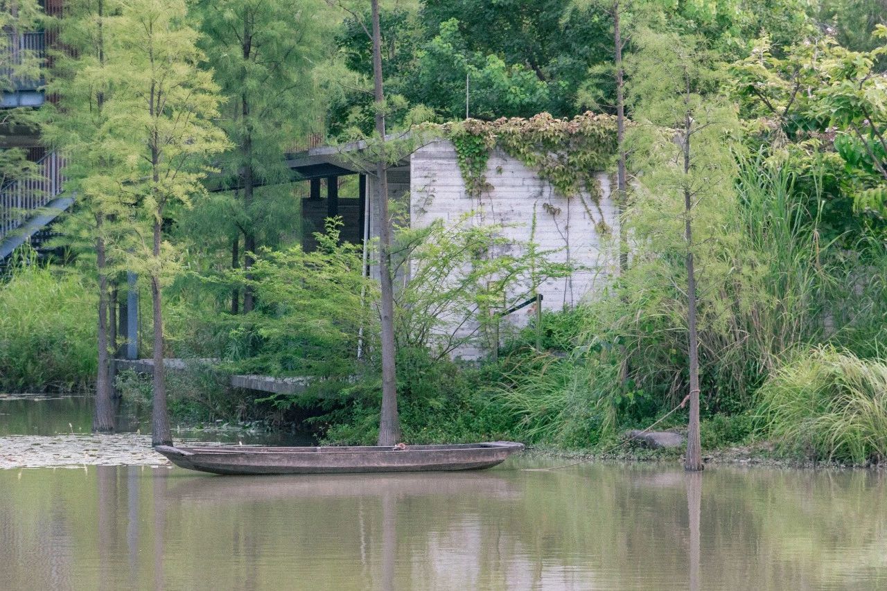 深圳游玩最佳地点排行榜前十名,深圳适合小孩游玩最佳地方推荐