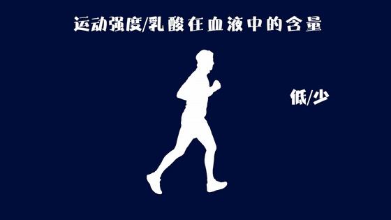 跑步训练肌酸推荐,跑步耐力差喘不上气