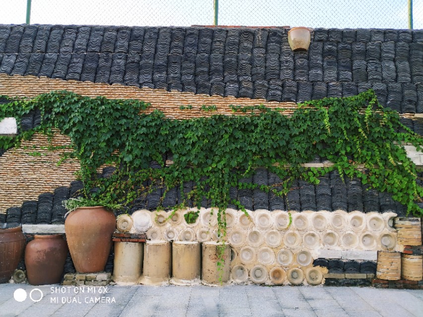 日本义务教育发展历程,德国义务教育普及历程