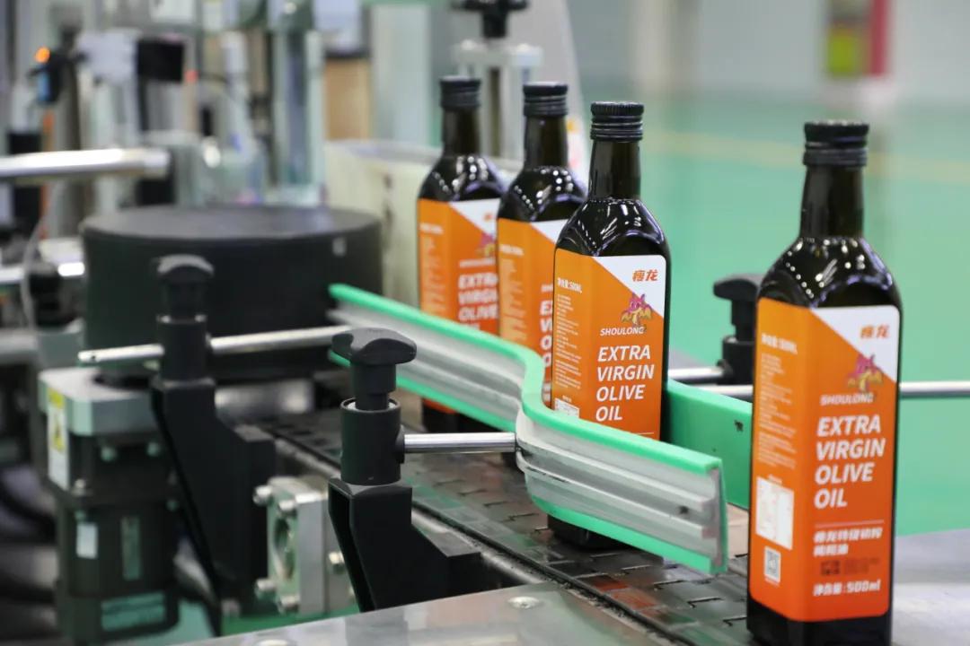 中国国际金奖橄榄油,中国橄榄油获奖