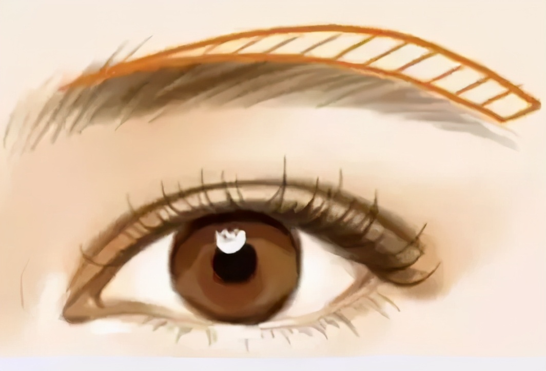 一举三得的技巧和方法,一举三得