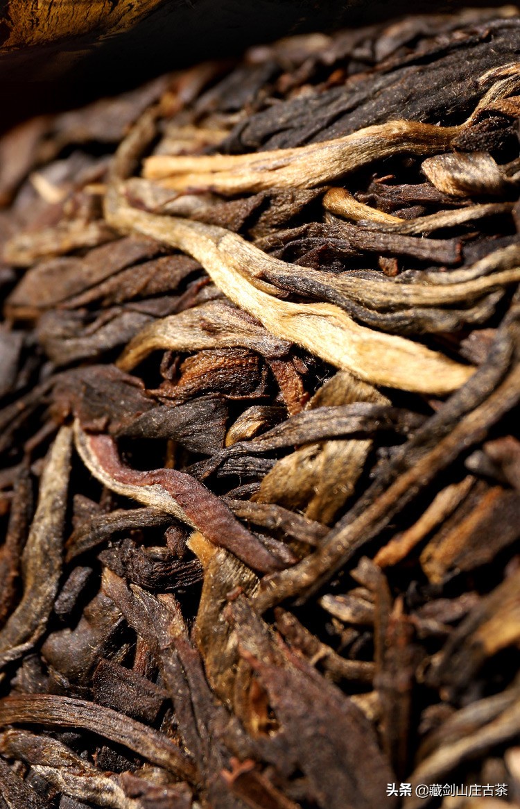 郭少华蓝根印记,郭少华原版视频