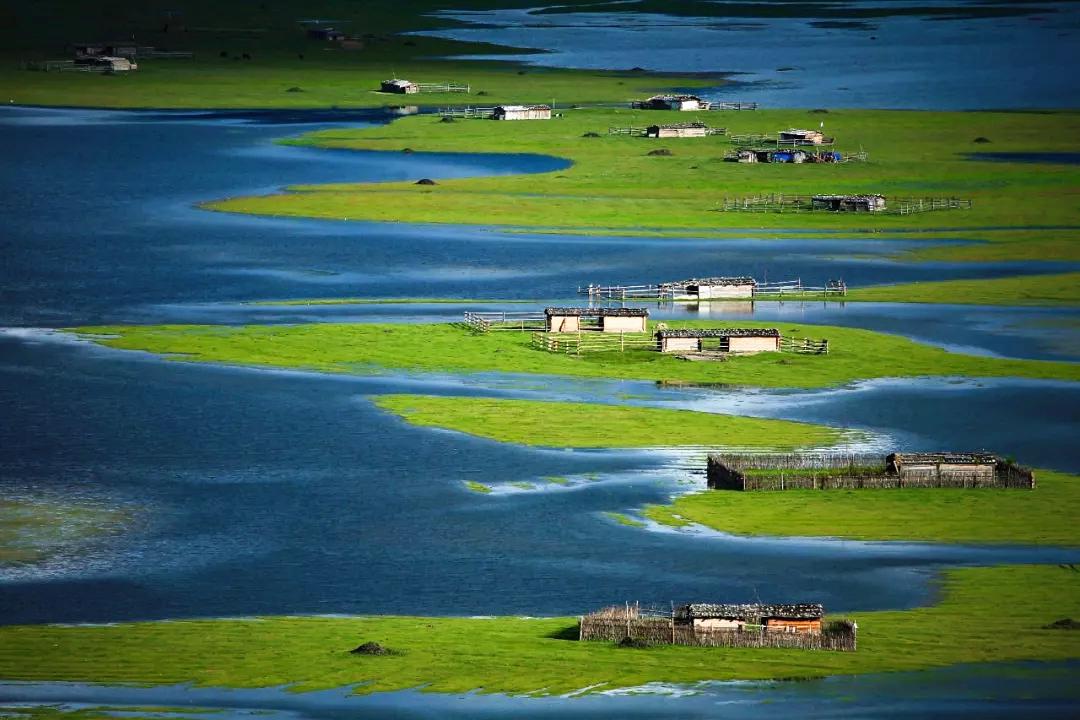 带你Get《司藤》同款神仙美景，春天的香格里拉这样玩