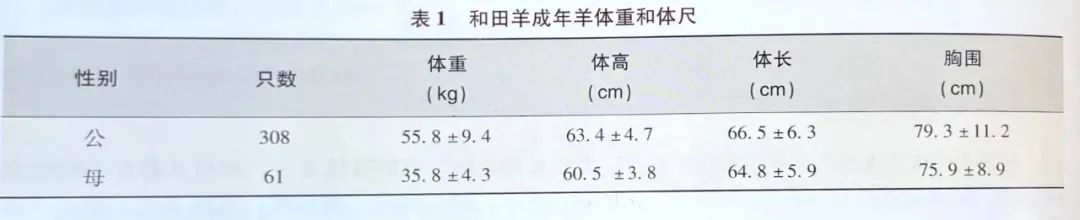 羊毛地毯,羊毛线编织地毯