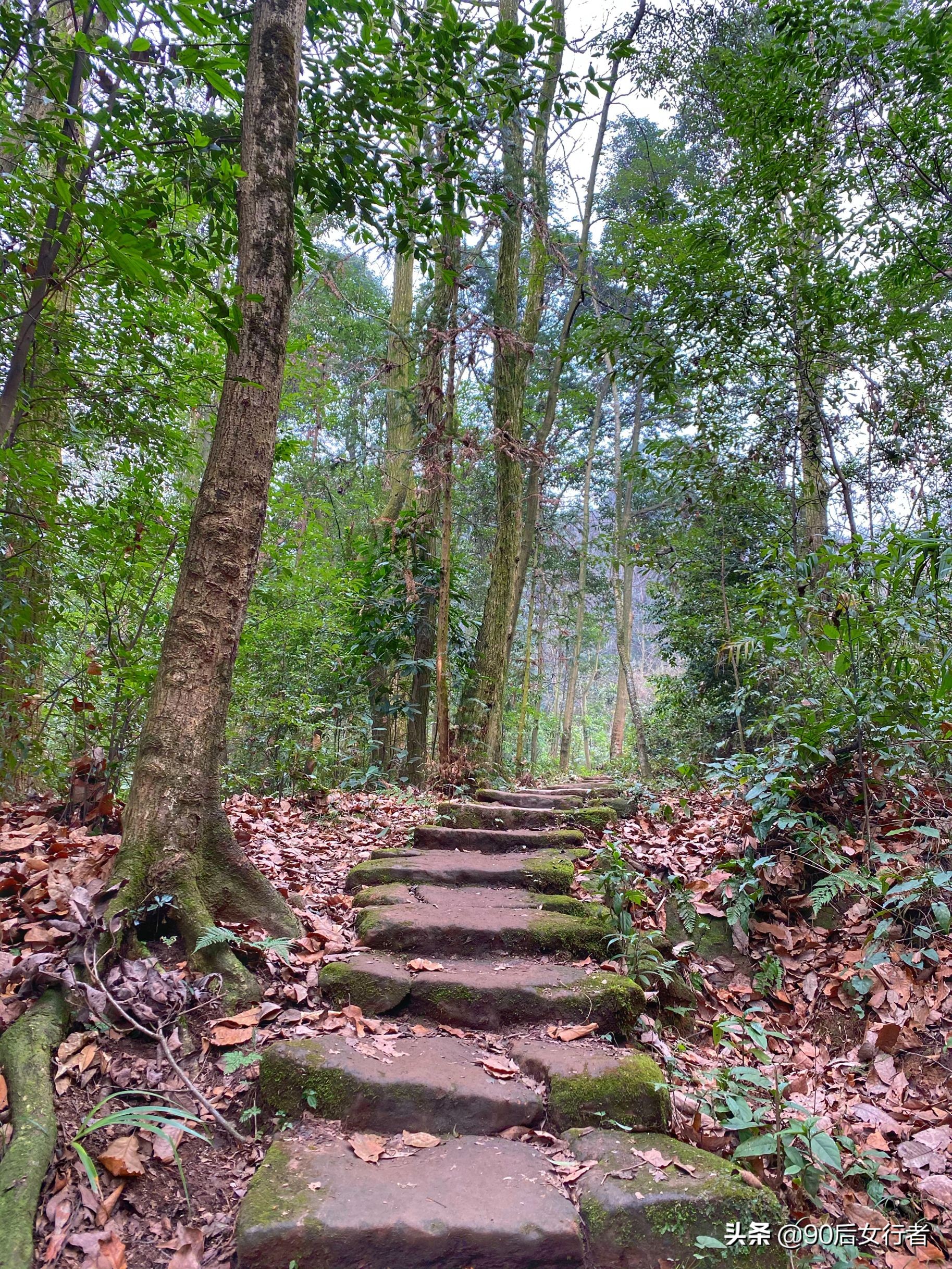 青城山隐居84岁道长教游客太极,拜会青城山