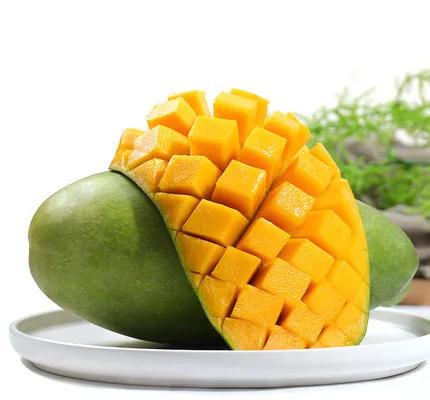 鑺掓灉娌欏啺澶忓ぉ娓呭噳,澶忔棩鑺掓灉娌欏啺