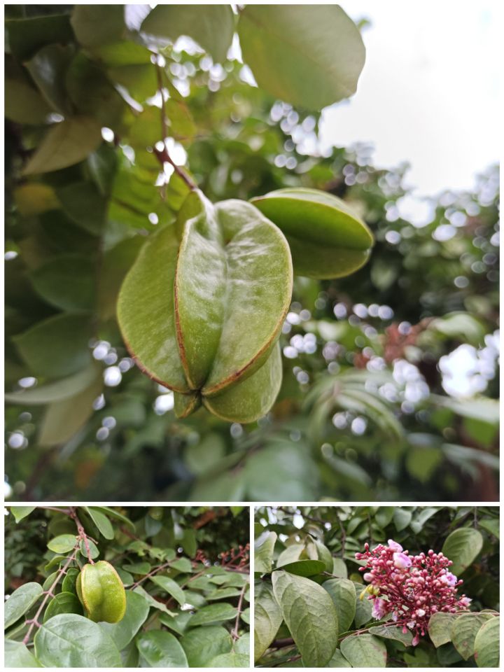 马峦山吃鸡攻略,马峦团建好去处