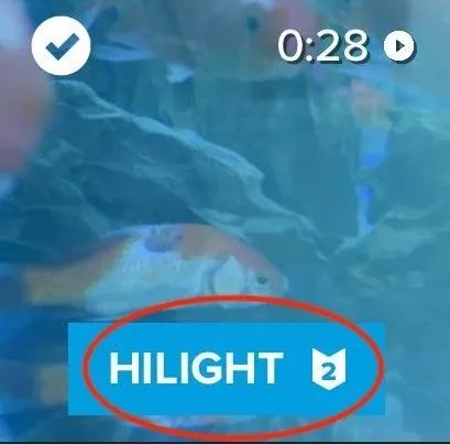 如何简单的做一个vlog手机版,便宜又好用的vlogapp