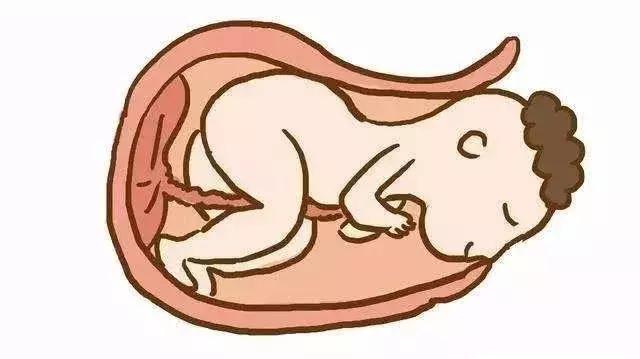 为什么产道那么小能生孩子,产道那么小婴儿怎么产下来