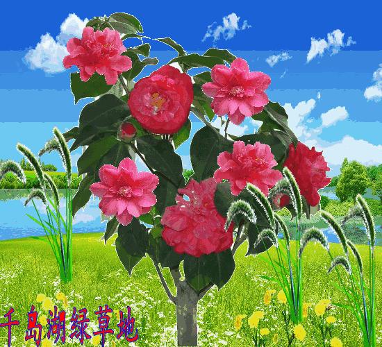 大年初五群相册，有群的都看看，太美了，这辈子见一次值了