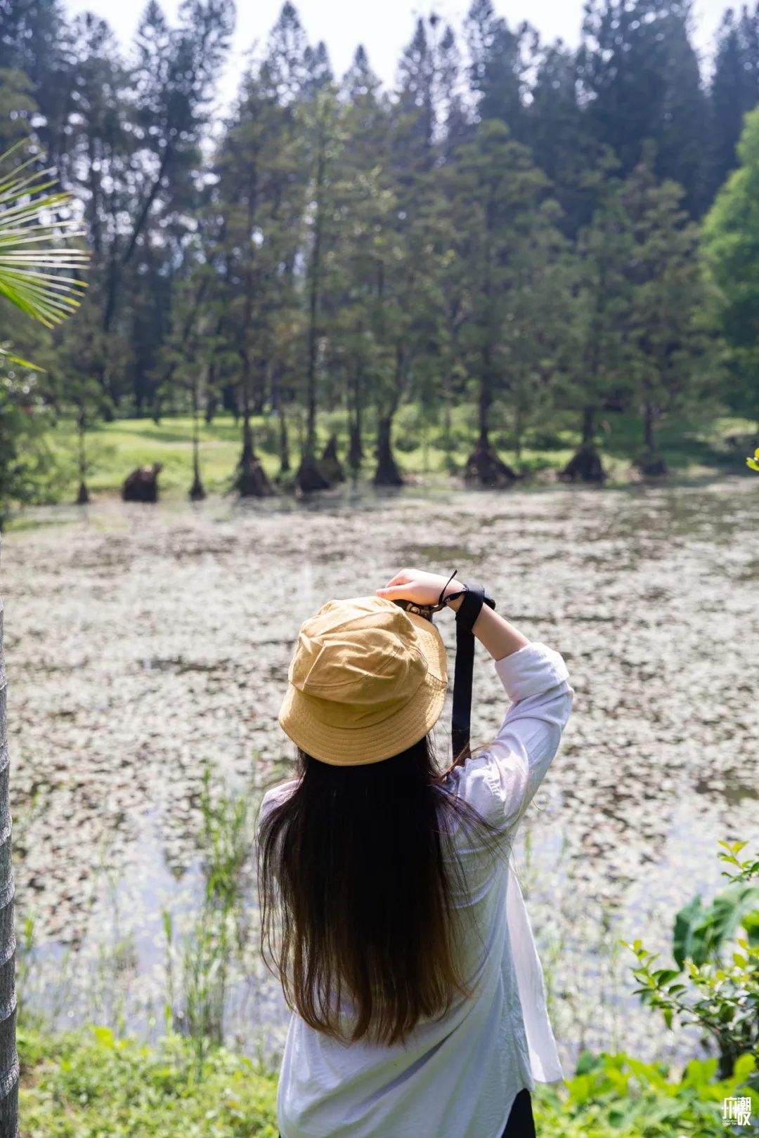 300+万㎡原始森林秘境，天河就有