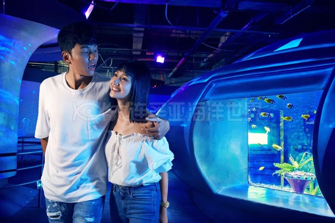 来大连必去的圣亚海洋世界,游玩攻略潮玩街区大连高新万达