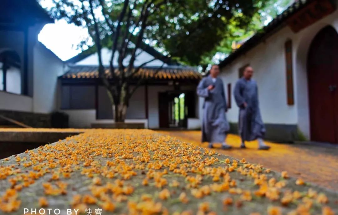 一入秋西安就美成长安,一入秋杭州就美成临安