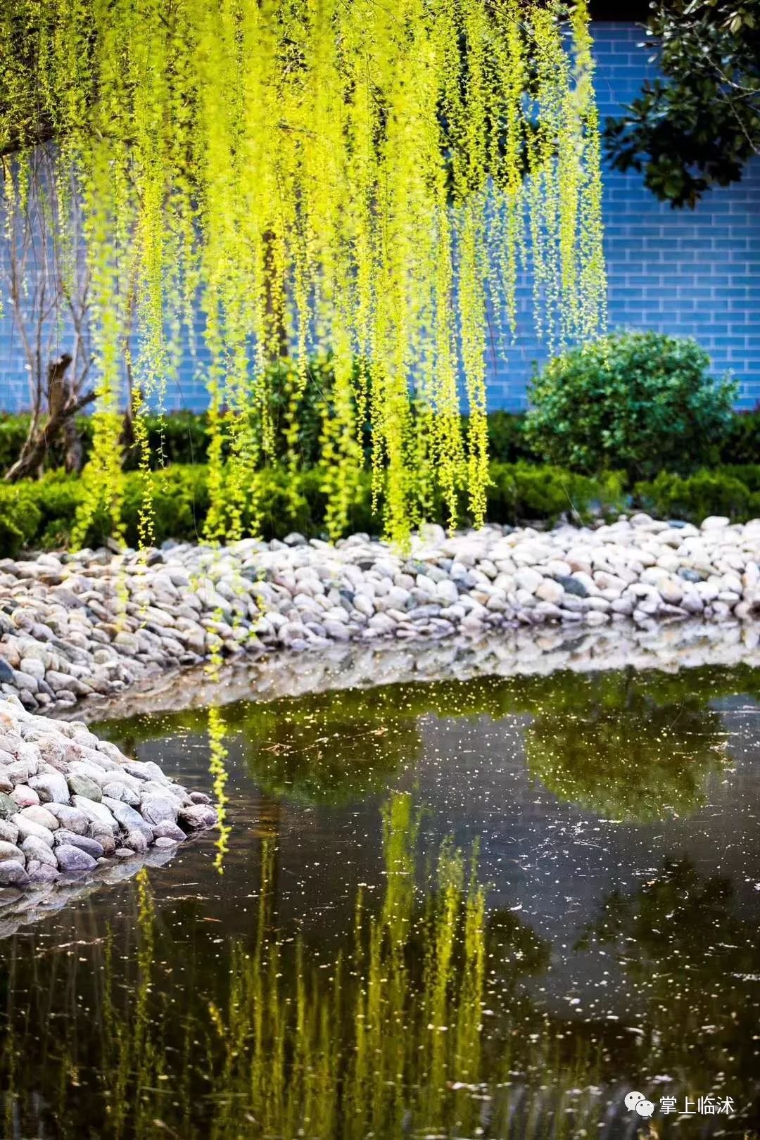 航拍最美临沭,临沭最美风景