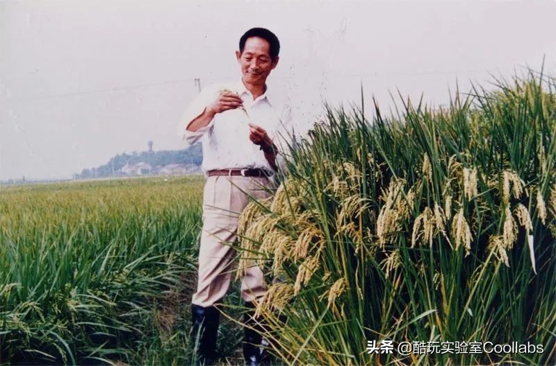 北京三环农田,北京三环麦田房价