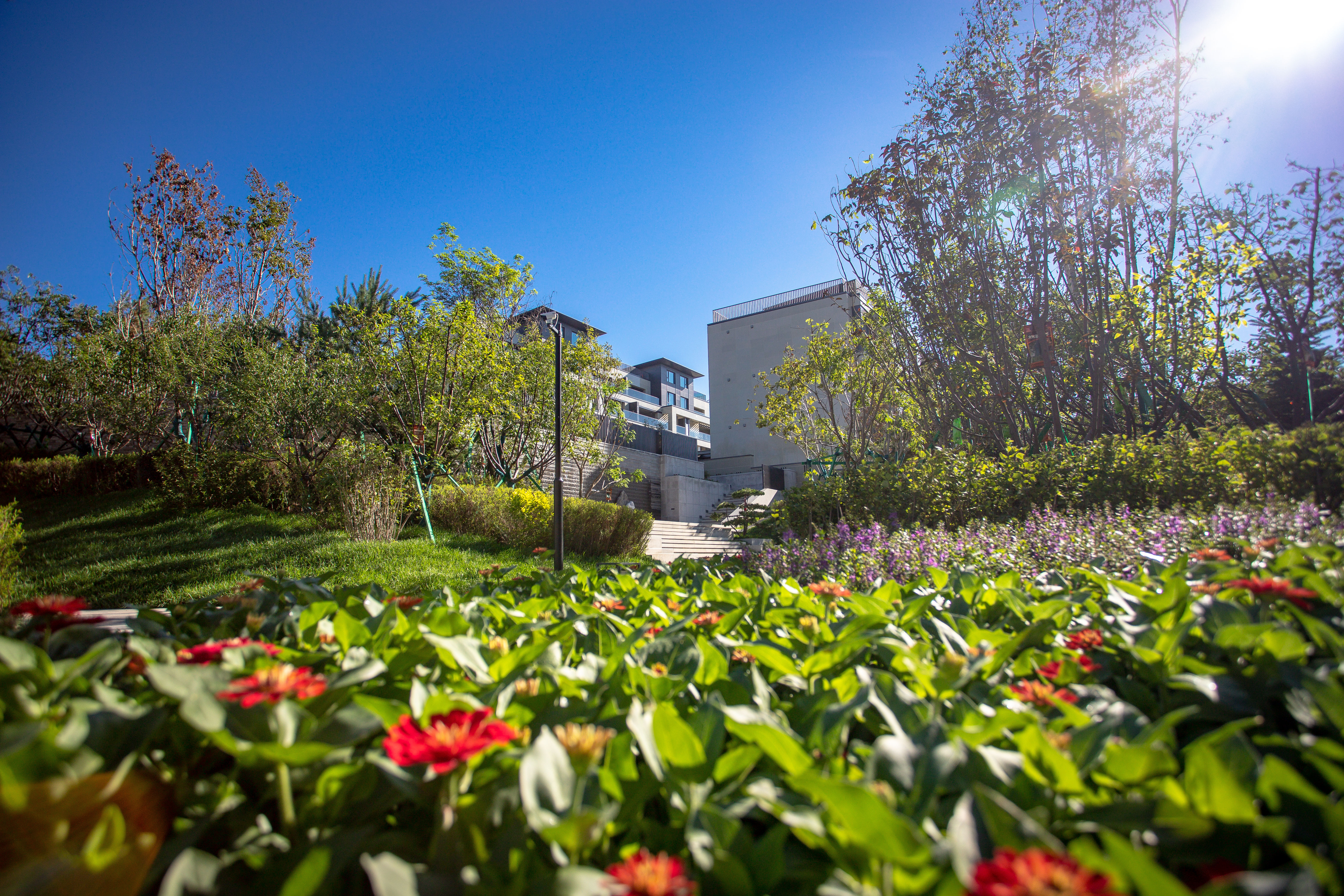 净月山别墅独栋样板间,净月山独栋900平