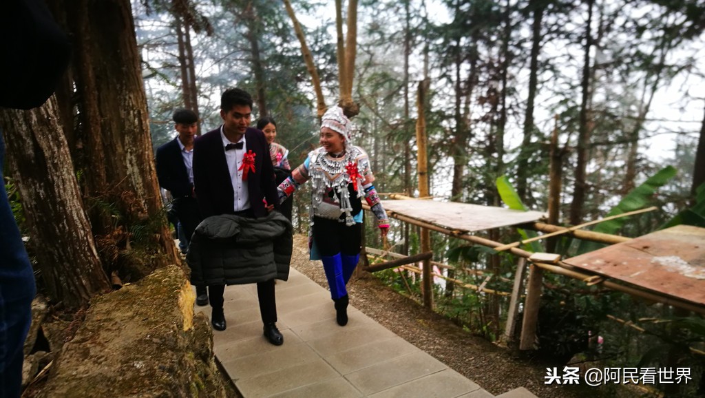 云南普者黑元阳坝美6天旅游攻略,云南建水普者黑旅游路线