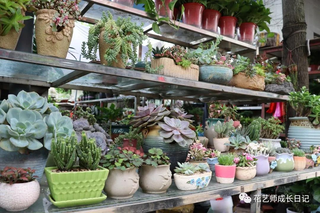 <html>
<head><title>502BadGateway</title></head>
<body>
<center><h1>502BadGateway</h1></center>
<hr><center>nginx</center>
</body>
</html>
<!--apaddingtodisableMSIEandChromefriendlyerrorpage-->
<!--apaddingtodisableMSIEandChromefriendlyerrorpage-->
<!--apaddingtodisableMSIEandChromefriendlyerrorpage-->
<!--apaddingtodisableMSIEandChromefriendlyerrorpage-->
<!--apaddingtodisableMSIEandChromefriendlyerrorpage-->
<!--apaddingtodisableMSIEandChromefriendlyerrorpage-->
