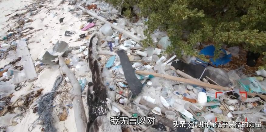 人生奇遇真实故事,人生奇遇真实视频