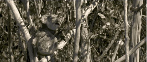 16个让你质疑的科学常识，太阳表面温度不高？