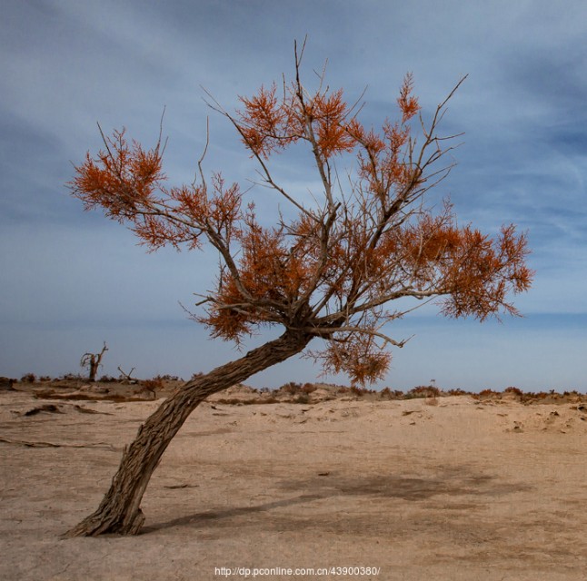 可怕的中毒韩国电影,可怕的中毒图片