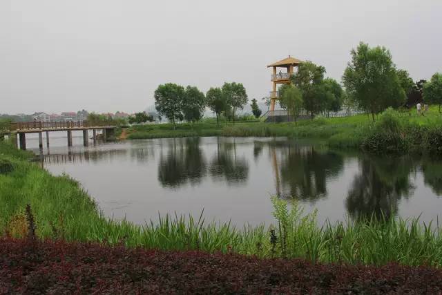 当世界遇上*安泰**，才发现我们*安泰**啥都有