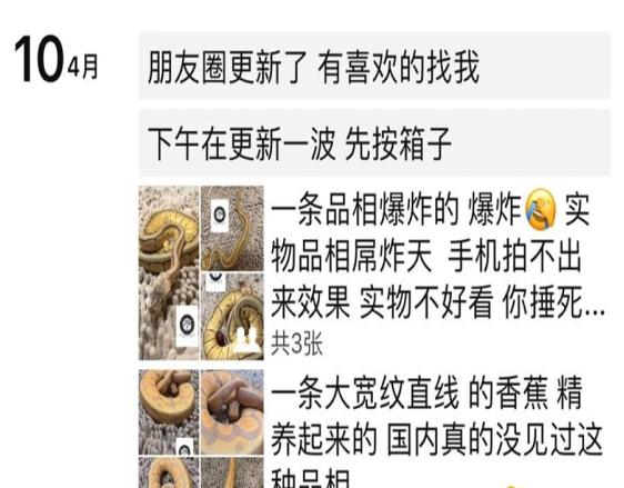 微信几次封号才永久封号,微信封号复审24小时会自动解封吗